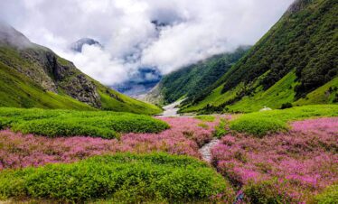 Uttarakhand