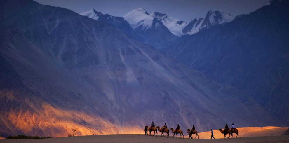 Nubra Valley 2